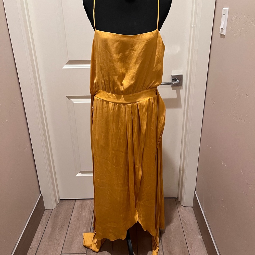 Modern Citizen Mustard Backless Dress